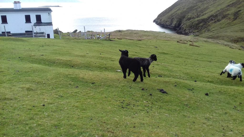 לינה וארוחת בוקר Dooagh Achill West Coast House מראה חיצוני תמונה